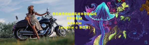 СК Карпинск